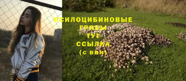 дурь Армянск