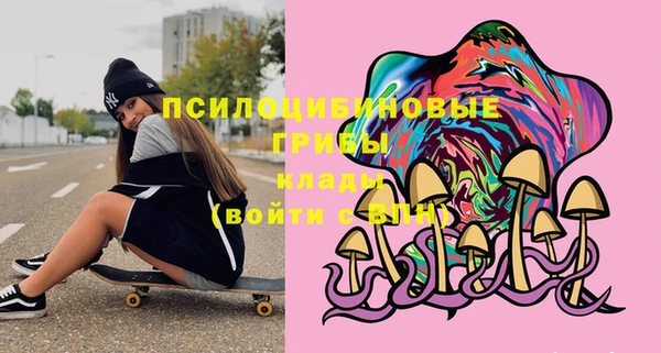 дурь Армянск