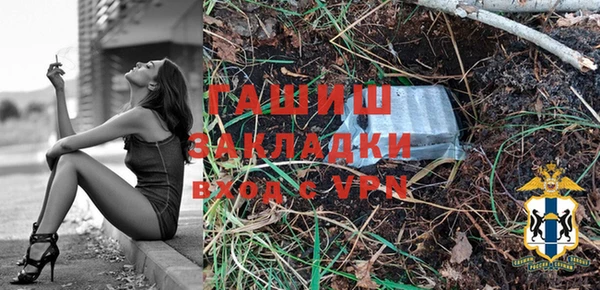 сатива Аркадак