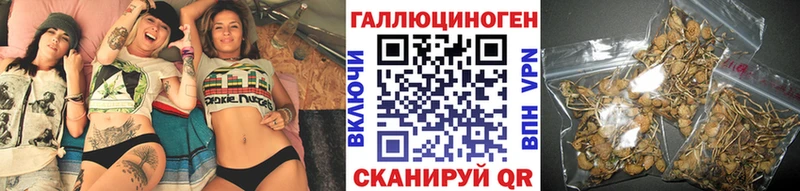 купить цена Лихославль Псилоцибиновые грибы мицелий